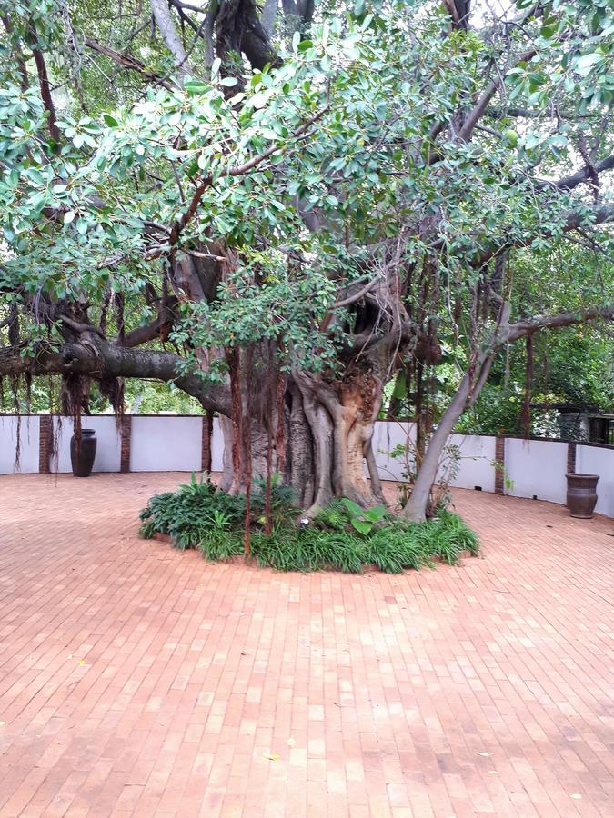 Bush Lovers Lodge 모디몰레 외부 사진